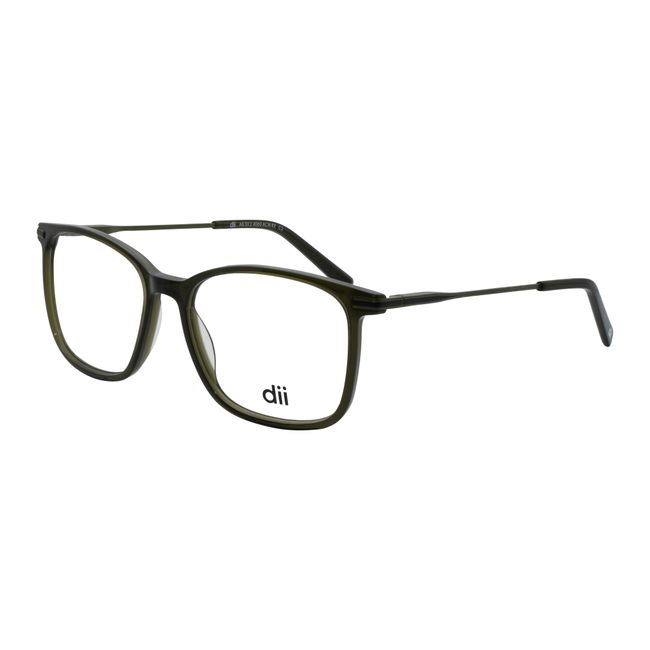 armacao-de-oculos-de-grau-dii-collection-modelo-2-4060-cor-c2-1808207